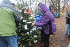 2014 Brookfield Zoo Tree Trimmimg