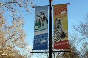 2018 Brookfield Zoo Tree Trimming