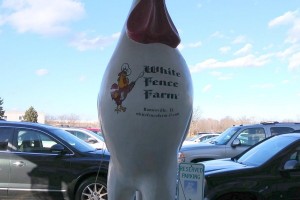 2018 White Fence Farm Drive out