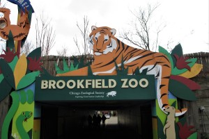 2020 Brookfield Zoo Tree Trimming