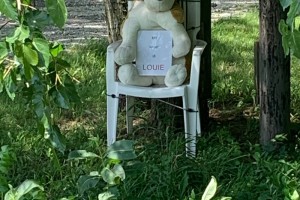 2020 Windy City Rallye