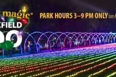 HOLIDAY MAGIC--WEBSITE--SOCIAL MEDIA TEMPLATES_2-22