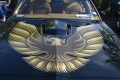 July-Cruise-Night-33