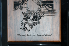 2002-Eagle-1-WEB